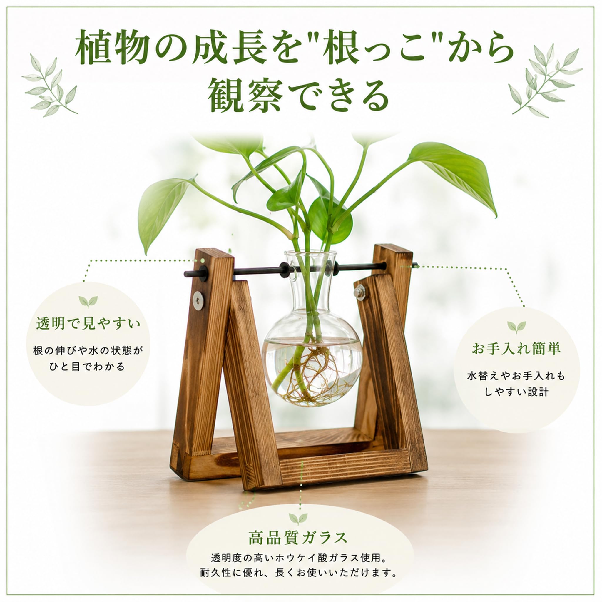 Amazon.co.jp: Queen-b 水耕栽培 ポット フラスコ ガラス 花瓶